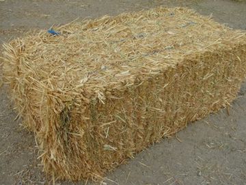 Bedding Hay